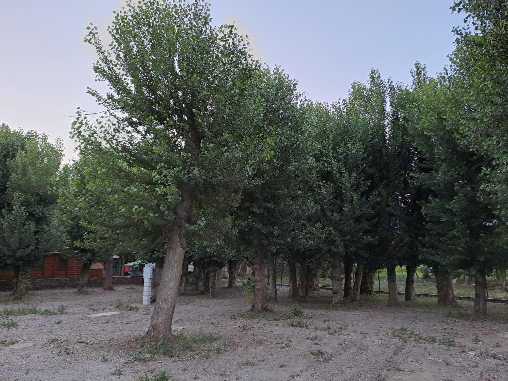 Camping Valle Del Andarax Fondon Exterior photo
