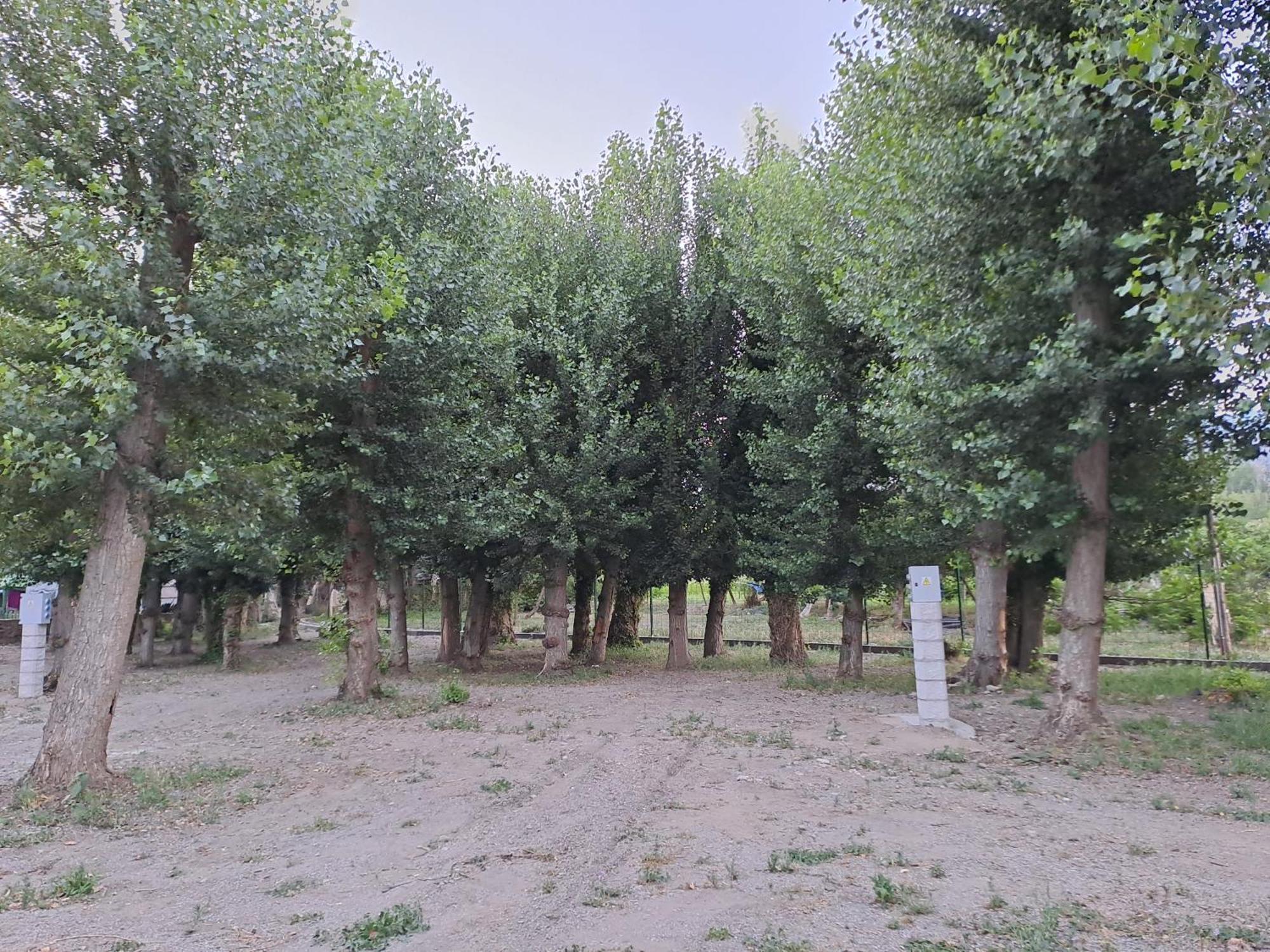 Camping Valle Del Andarax Fondon Exterior photo