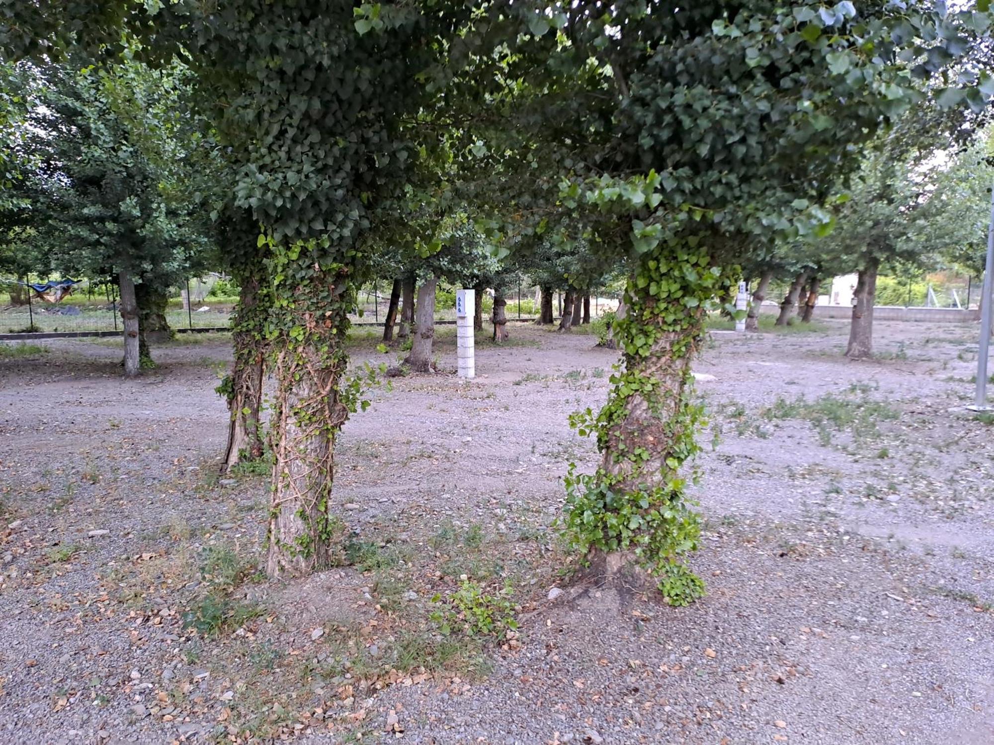 Camping Valle Del Andarax Fondon Exterior photo